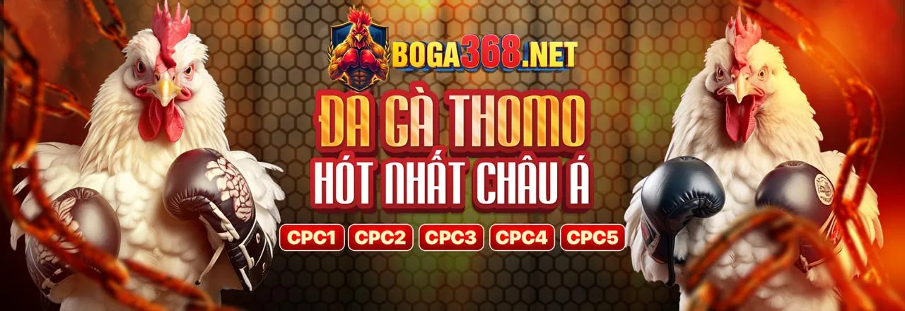 Sân đấu đá gà trực tuyến 100win33 đầy kịch tính với ánh sáng rực rỡ và không khí sôi động